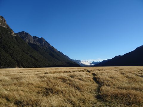 Fiordland, Nouvelle-Zélande