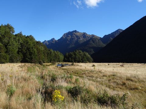 Fiordland, Nouvelle-Zélande