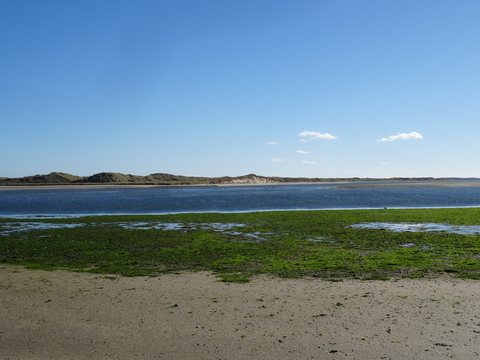 The Catlins, Nouvelle-Zélande