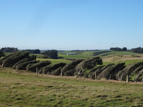 The Catlins, Nouvelle-Zélande