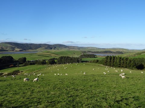The Catlins, Nouvelle-Zélande