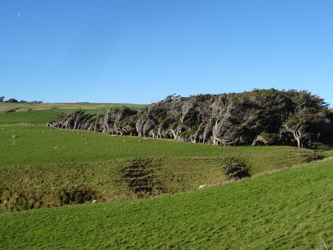 The Catlins, Nouvelle-Zélande