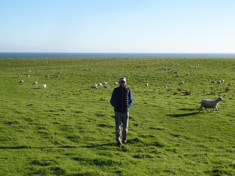 The Catlins, Nouvelle-Zélande