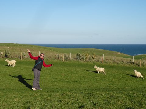 The Catlins, Nouvelle-Zélande