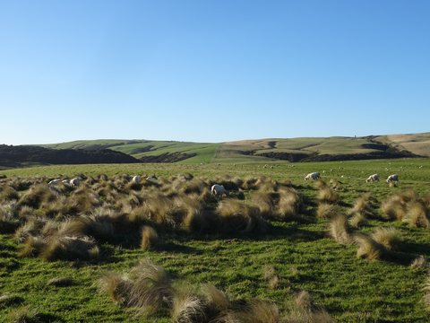 The Catlins, Nouvelle-Zélande