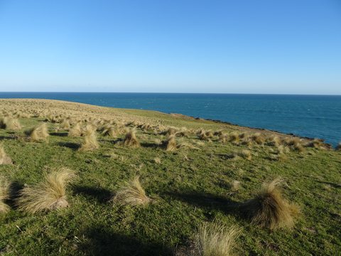 The Catlins, Nouvelle-Zélande