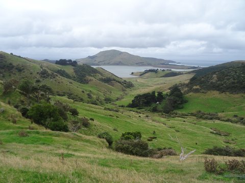 Dunedin - Pukaki, Nouvelle-Zélande