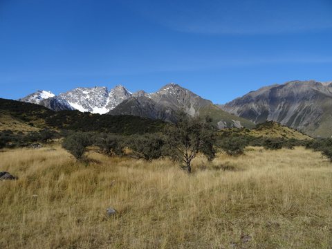 Mont Cook, Nouvelle-Zélande