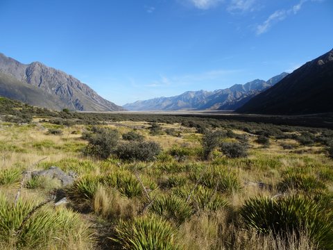 Mont Cook, Nouvelle-Zélande