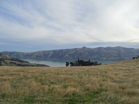 Christchurch, Nouvelle-Zélande