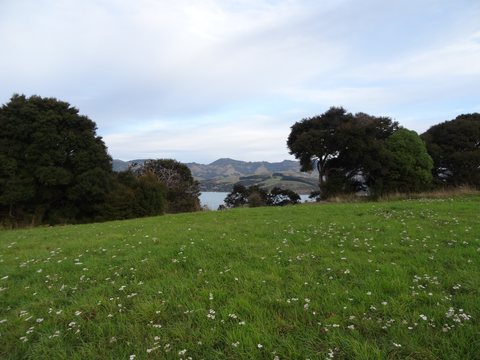 Christchurch, Nouvelle-Zélande