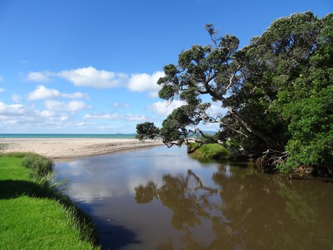 Northland, Nouvelle-Zélande