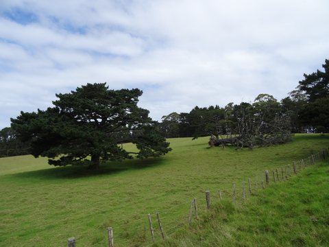 Northland, Nouvelle-Zélande