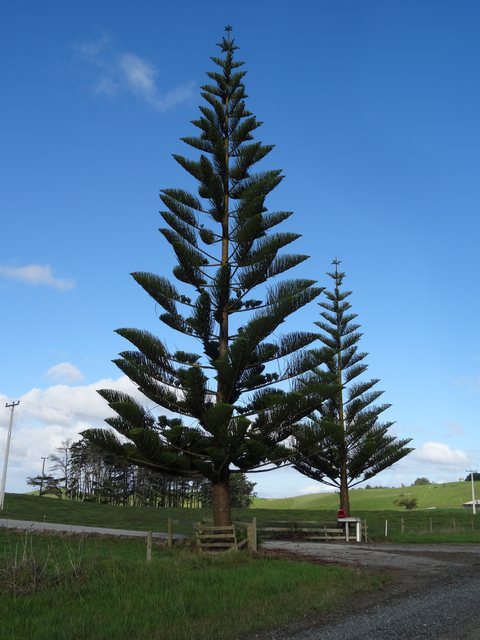 Northland, Nouvelle-Zélande