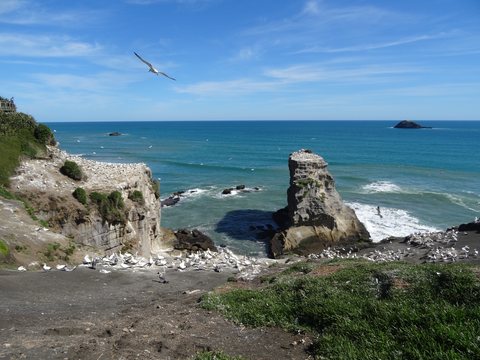Northland, Nouvelle-Zélande