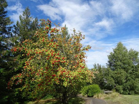 Hanmer Springs - Renwick, Nouvelle-Zélande