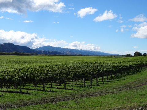 Hanmer Springs - Renwick, Nouvelle-Zélande