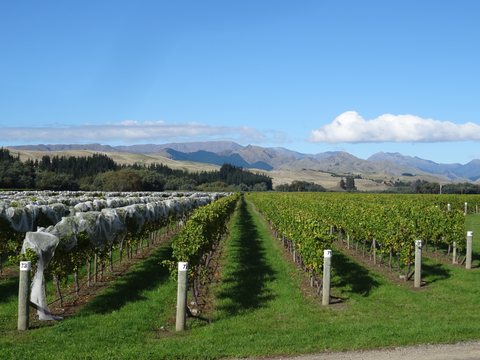 Marlborough, Nouvelle-Zélande