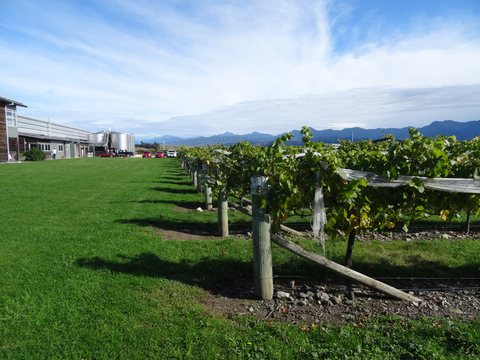 Marlborough, Nouvelle-Zélande