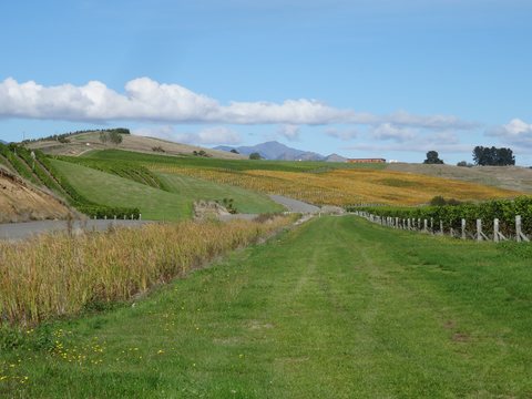 Hanmer Springs - Renwick, Nouvelle-Zélande