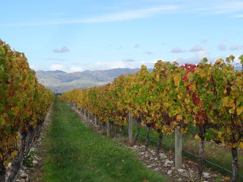 Marlborough, Nouvelle-Zélande