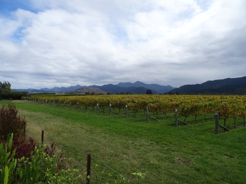 Marlborough, Nouvelle-Zélande