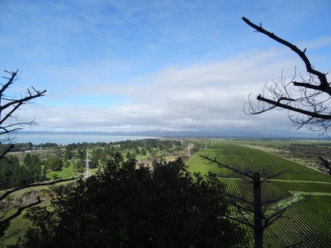 Marlborough, Nouvelle-Zélande