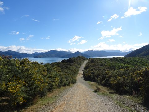 Marlborough, Nouvelle-Zélande