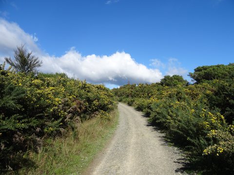 Hanmer Springs - Renwick, Nouvelle-Zélande