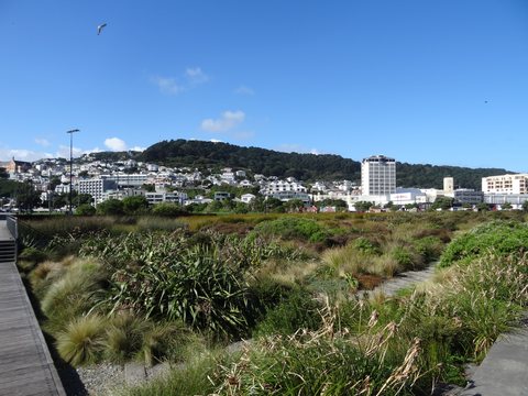 Whanganui - Wellington, Nouvelle-Zélande