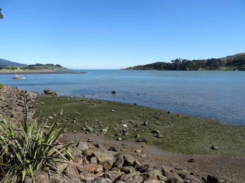 Abel Tasman National Park, Nouvelle-Zélande