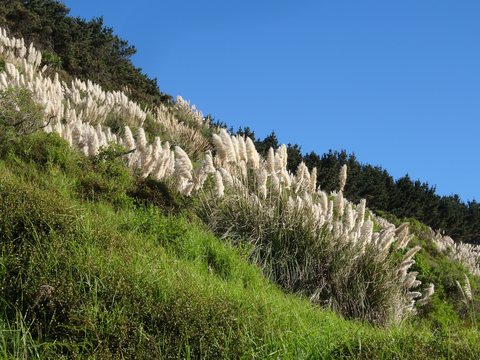 Abel Tasman National Park, Nouvelle-Zélande