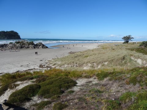Raglan - Tauranga, Nouvelle-Zélande