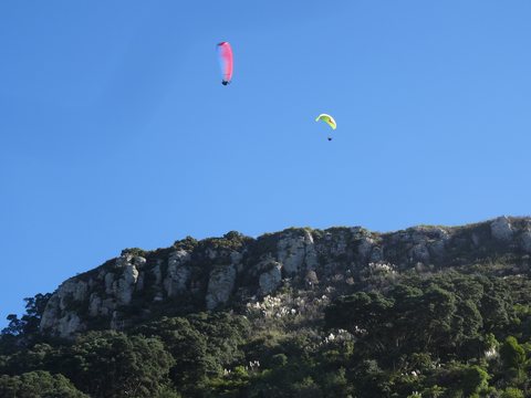 Coromandel, Nouvelle-Zélande