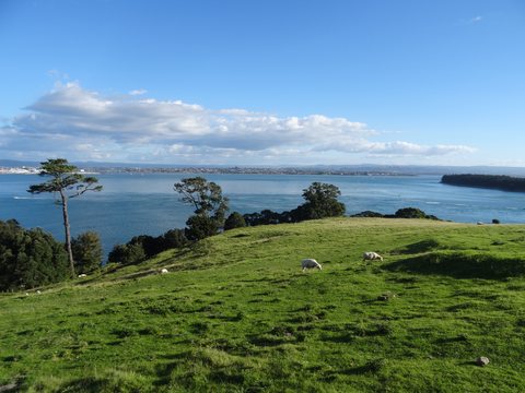 Coromandel, Nouvelle-Zélande