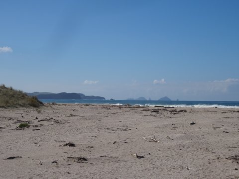 Raglan - Tauranga, Nouvelle-Zélande