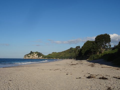 Coromandel, Nouvelle-Zélande