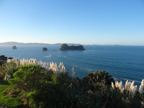 Coromandel, Nouvelle-Zélande