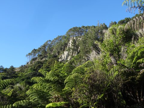 Coromandel, Nouvelle-Zélande