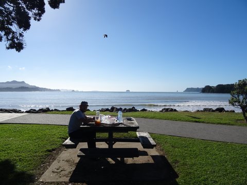 Raglan - Tauranga, Nouvelle-Zélande