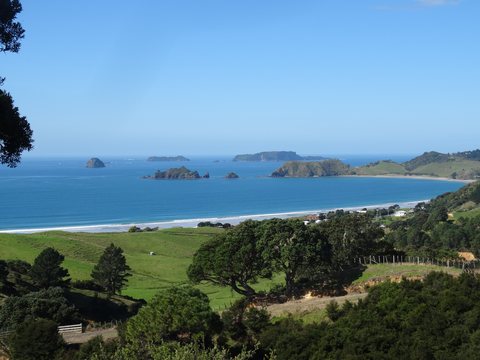 Raglan - Tauranga, Nouvelle-Zélande