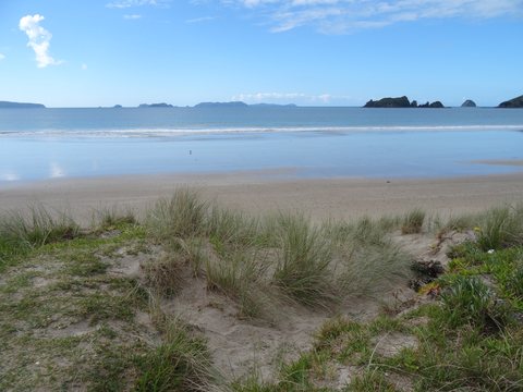 Coromandel, Nouvelle-Zélande