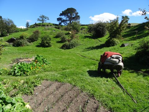 Hobbiton, Nouvelle-Zélande