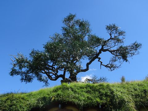 Hobbiton, Nouvelle-Zélande