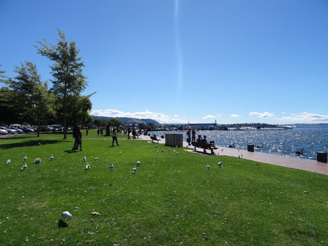 Rotorua - Tongariro, Nouvelle-Zélande