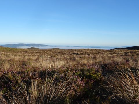 Rotorua - Tongariro, Nouvelle-Zélande