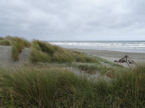 Whanganui - Wellington, Nouvelle-Zélande