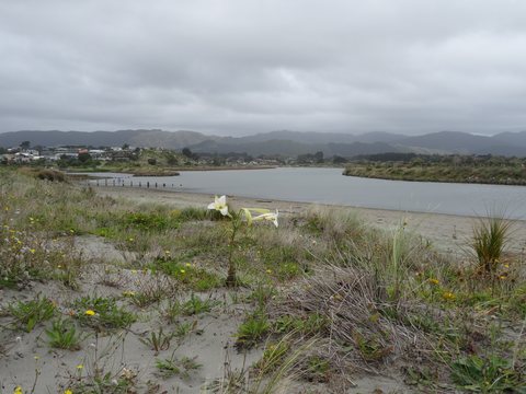 Whanganui - Wellington, Nouvelle-Zélande