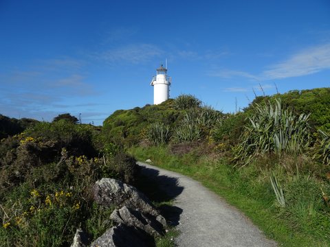 Raglan - Tauranga, Nouvelle-Zélande
