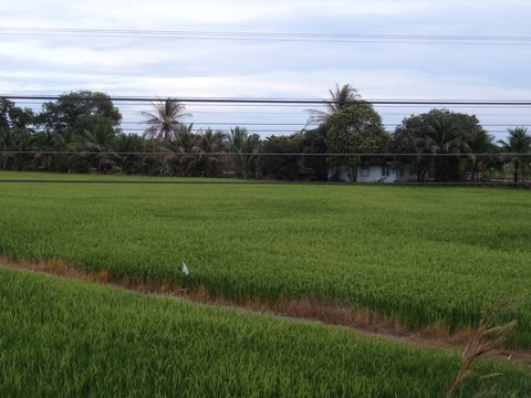 Bangkok, Thaïlande